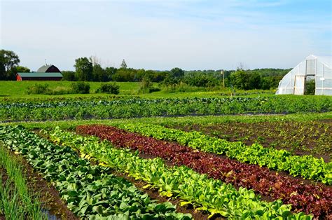 FARMERS GARDEN .